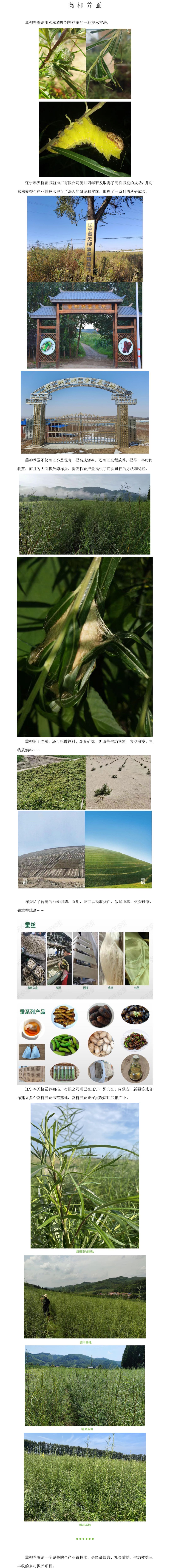 微信图片_20240508141353.jpg